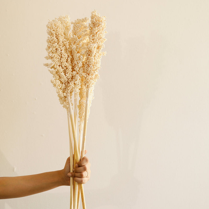 Malar sorghum stem set of 6 - Al Rugaib Furniture