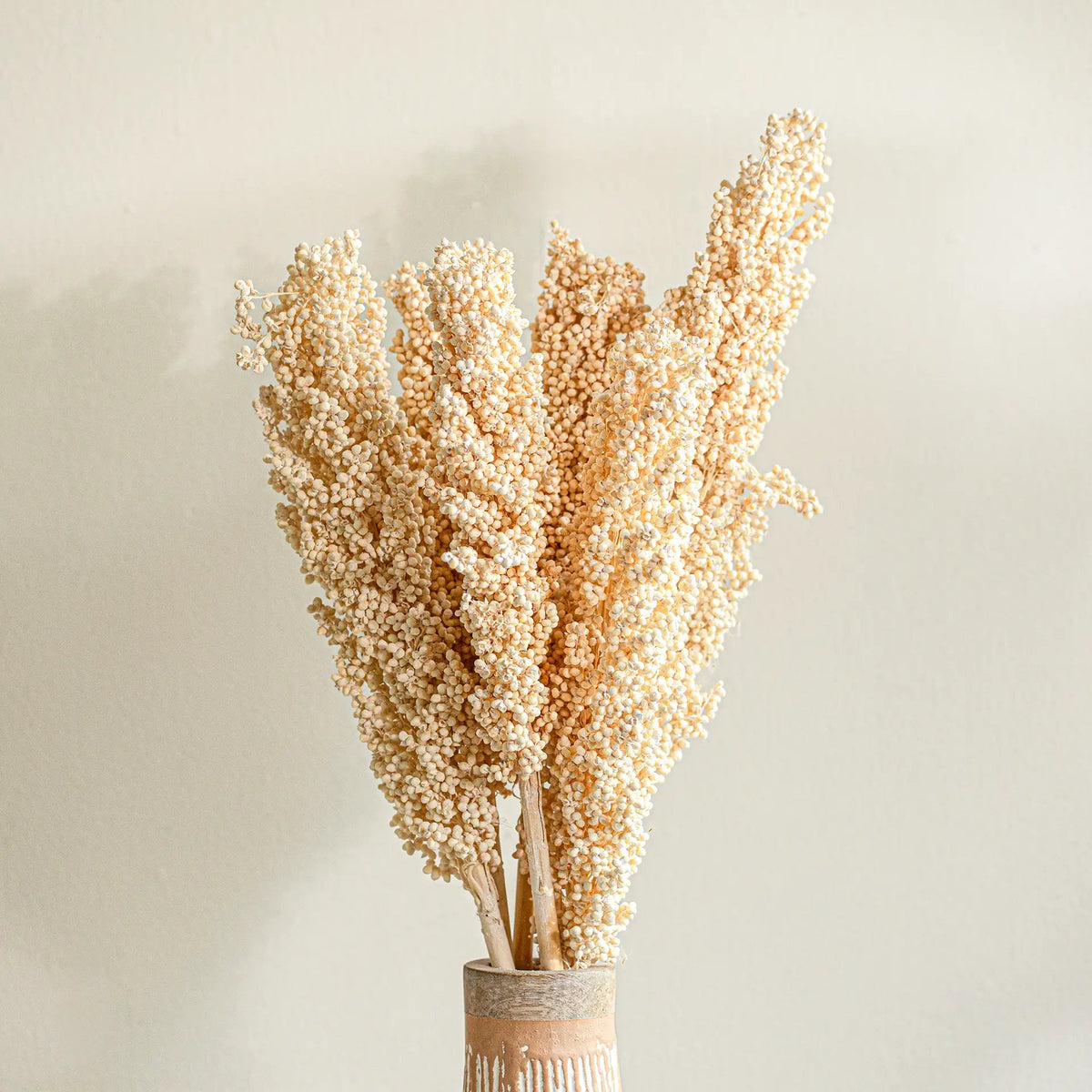 Malar sorghum stem set of 6 Plants| Roots Furniture