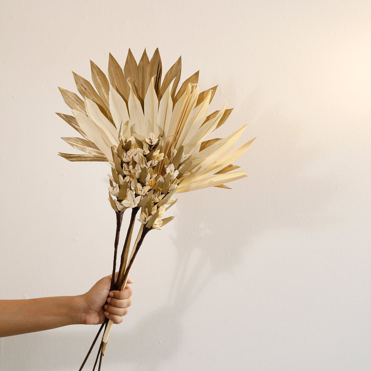 Malar sun palm & bakuli flower combo Plants| Roots Furniture