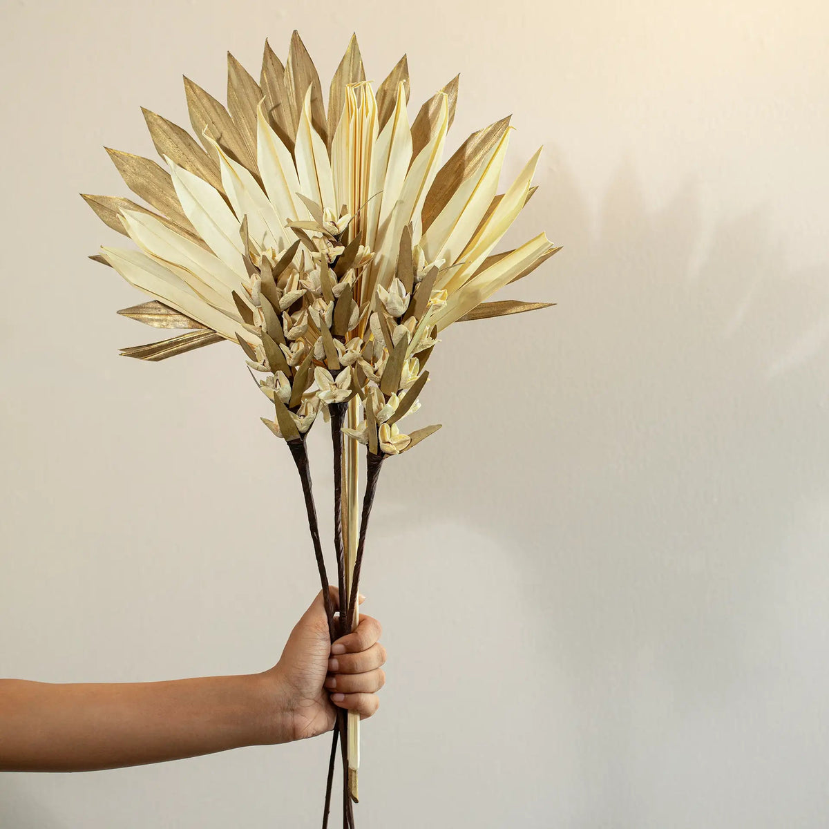 Malar sun palm & bakuli flower combo Plants| Roots Furniture