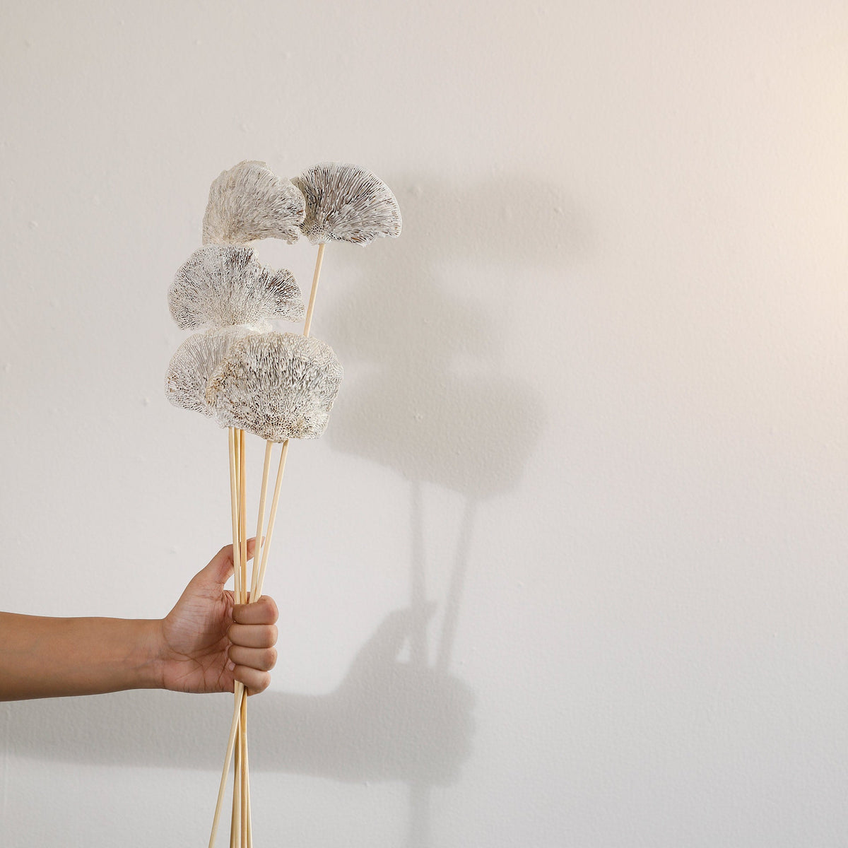Malar whitewashed sponge mushroom set of 5 Plants| Roots Furniture