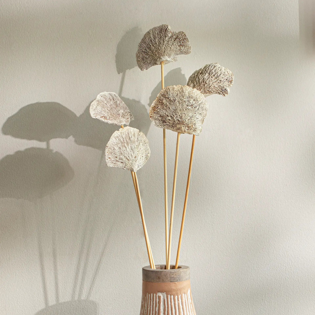 Malar whitewashed sponge mushroom set of 5 Plants| Roots Furniture
