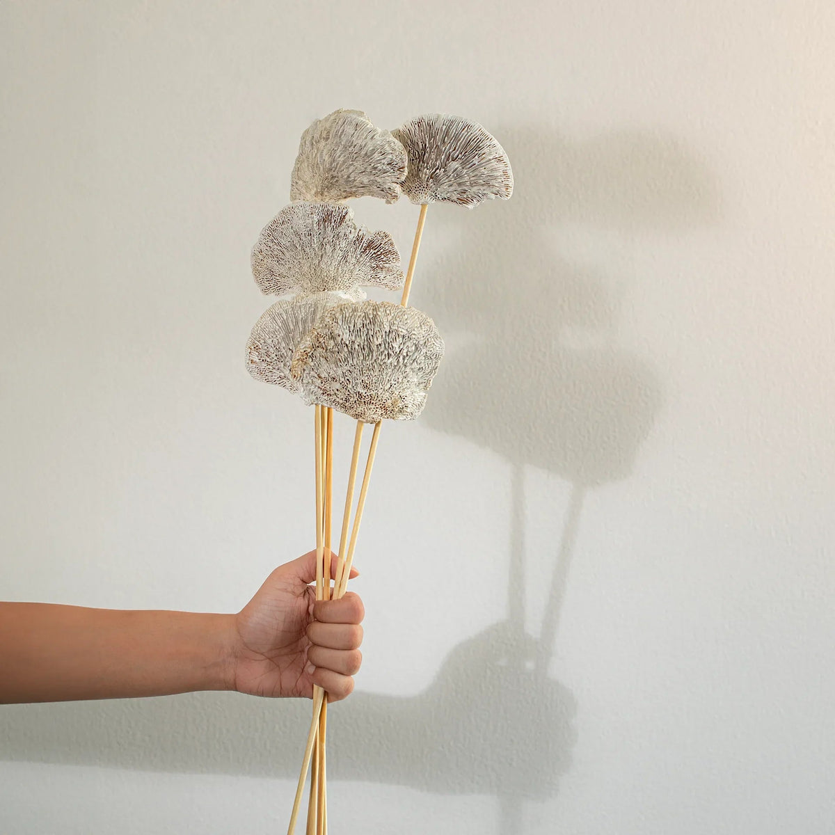 Malar whitewashed sponge mushroom set of 5 Plants| Roots Furniture