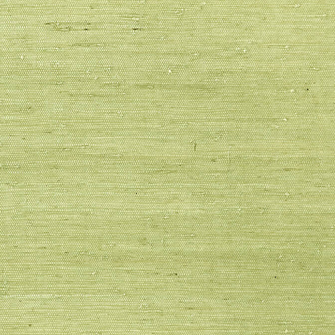 MARANTA ARROWROOT,Grasscloth Wallpaper Wallpaper| Thibaut Design