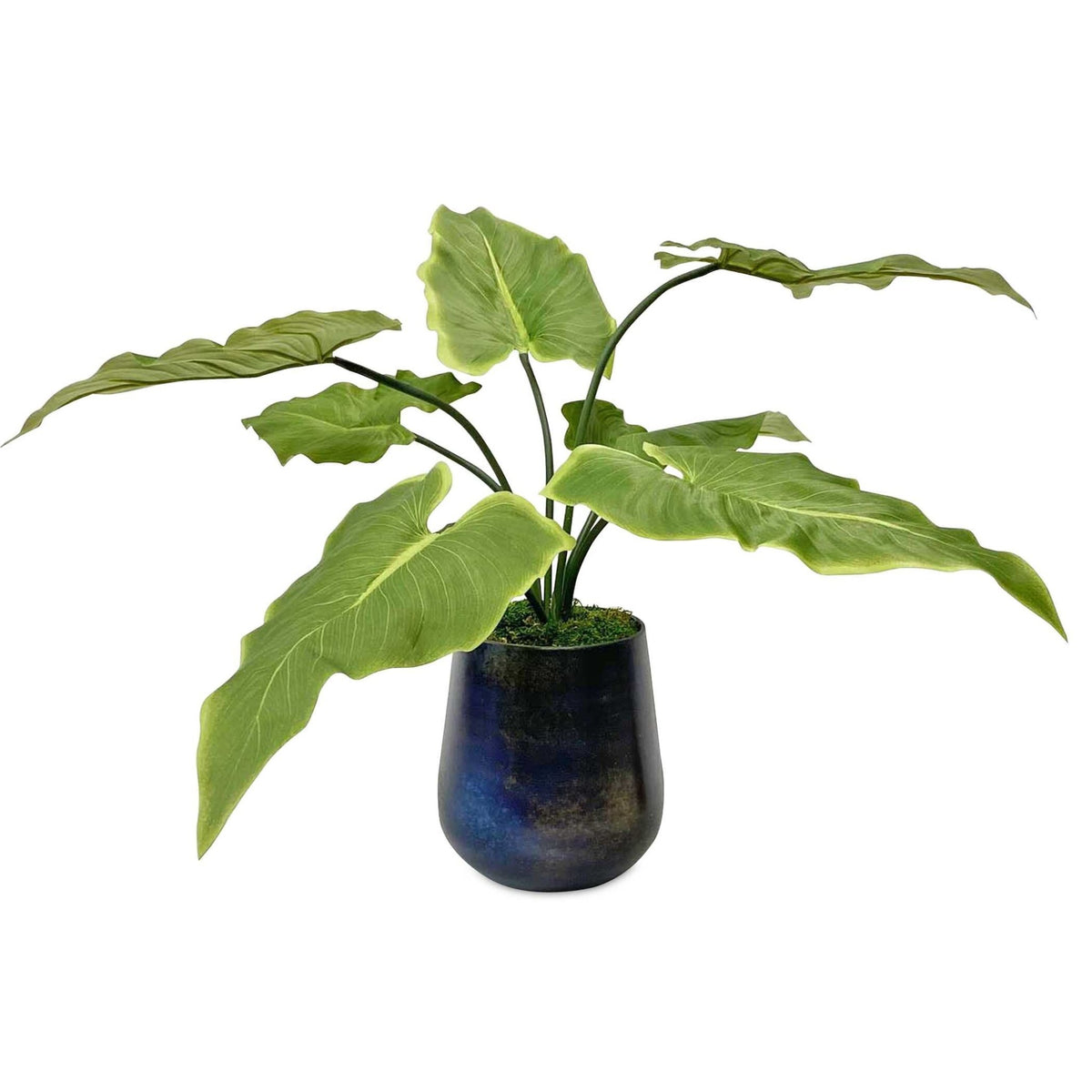 Mari Calla Lily Accent Plants| Uttermost