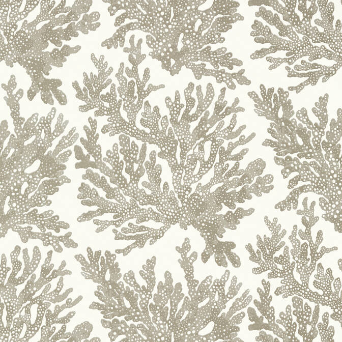MARINE CORAL,Wallpaper Wallpaper| Thibaut Design
