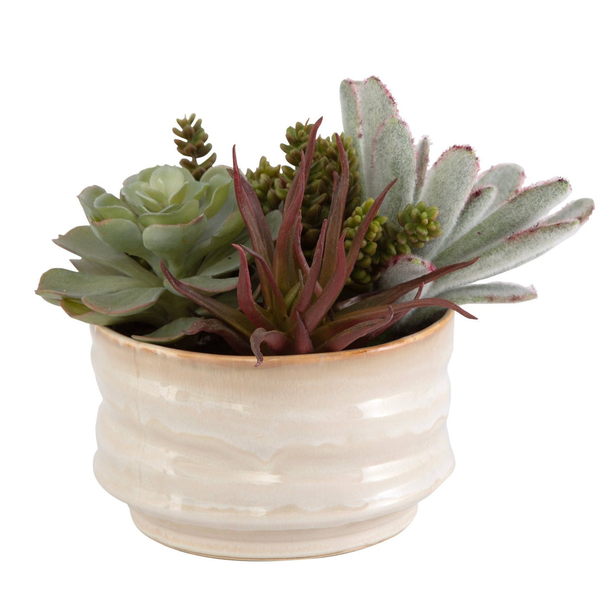 Mesa Succulent Accent Plants| Uttermost