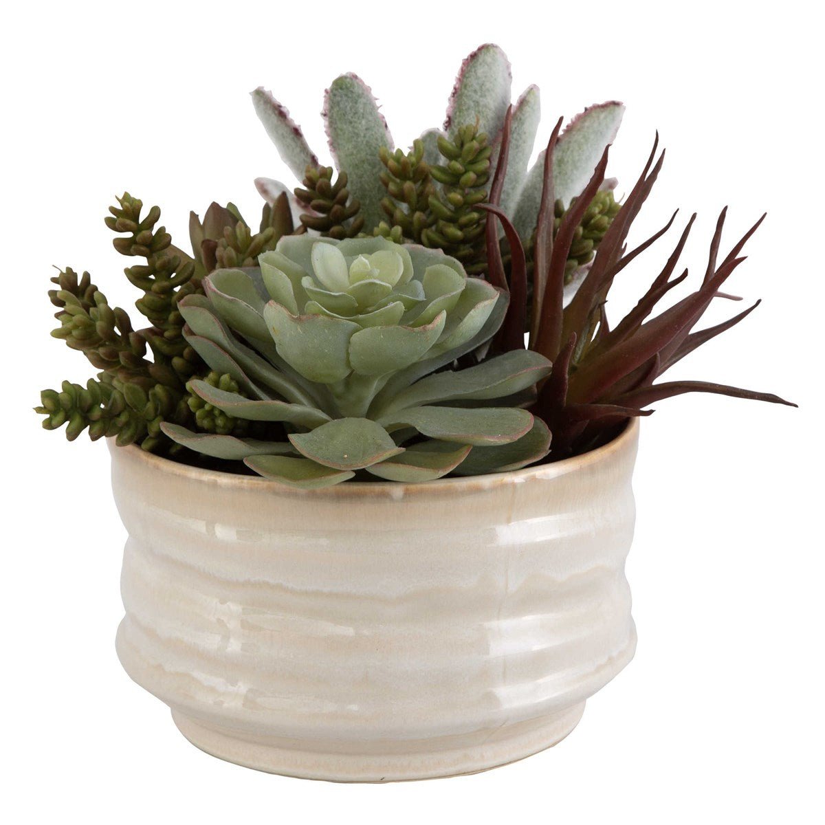 Mesa Succulent Accent Plants| Uttermost