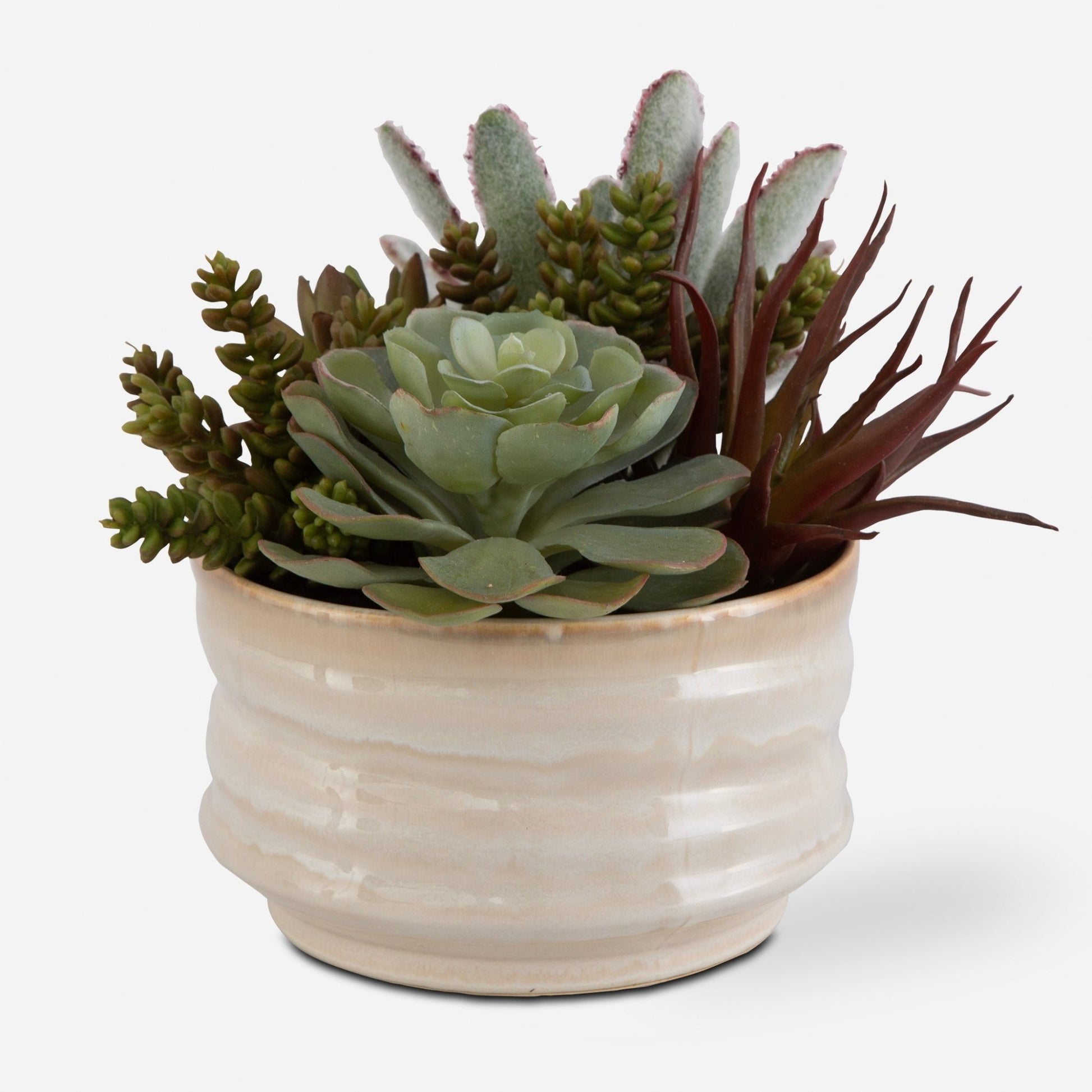 Mesa Succulent Accent Plants| Uttermost