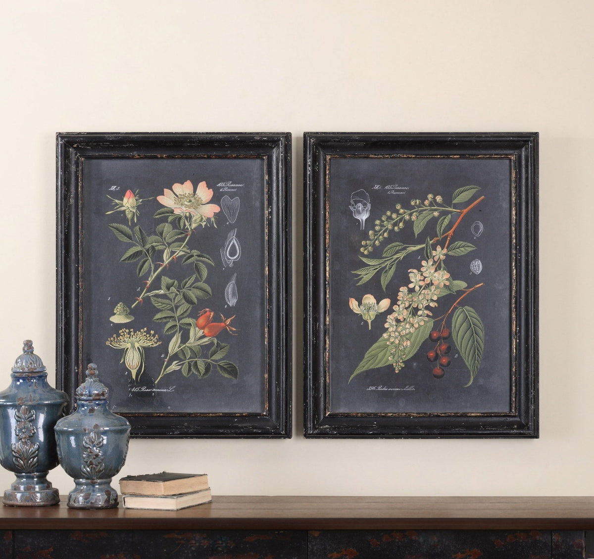Midnight Botanicals Framed Prints, S/2 Paintings & Pictures| Uttermost