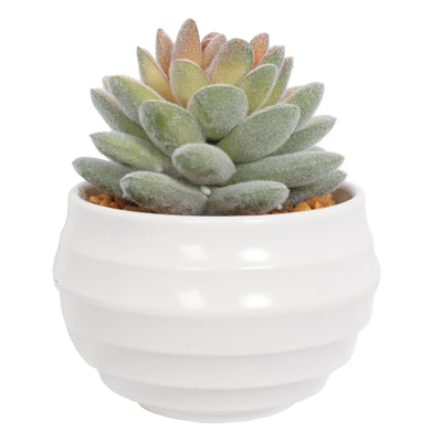 Mini Artificial Succulent Plants In Pots 10CM - Al Rugaib Furniture
