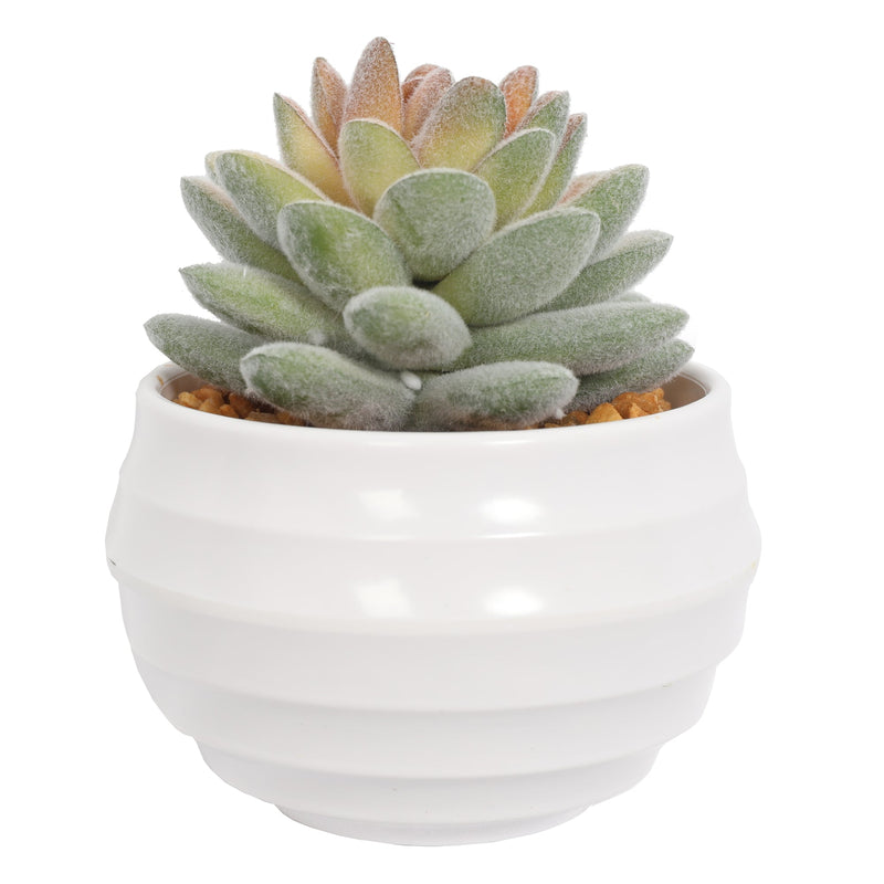 Mini Artificial Succulent Plants In Pots 10CM - Al Rugaib Furniture