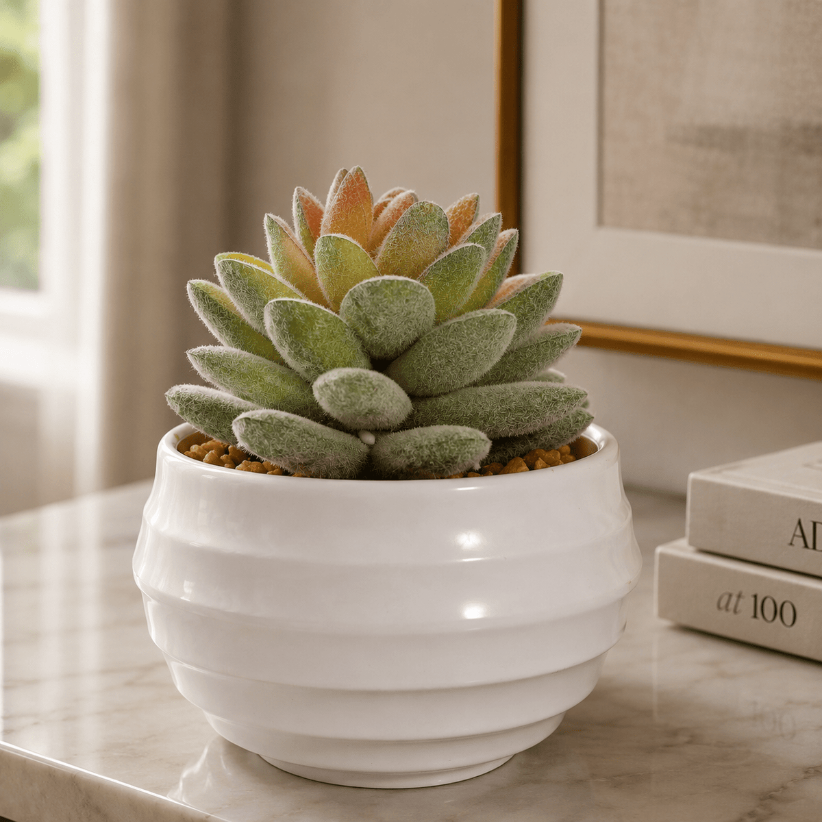 Mini Artificial Succulent Plants In Pots 10CM Plants| Roots Furniture