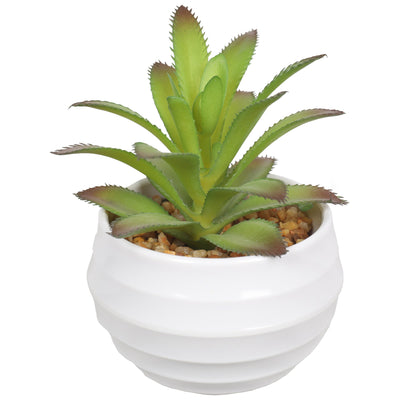 Mini Artificial Succulent Plants In Pots 11.5CM - Al Rugaib Furniture