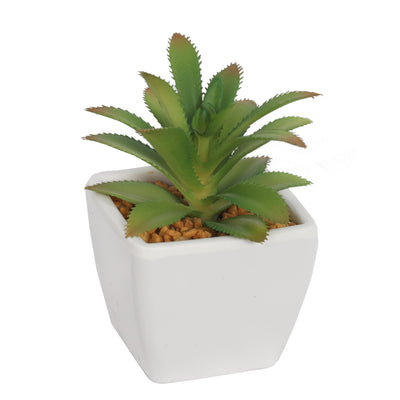 Mini Artificial Succulent Plants In Pots 12.5CM - Al Rugaib Furniture