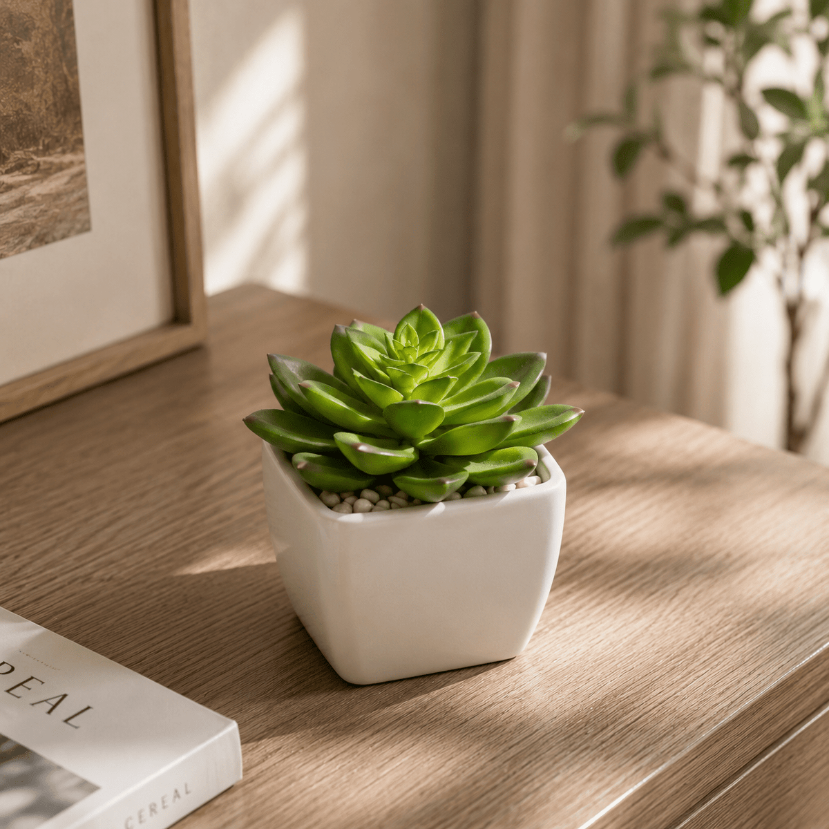 Mini Artificial Succulent Plants In Pots 12CM Plants| Roots Furniture