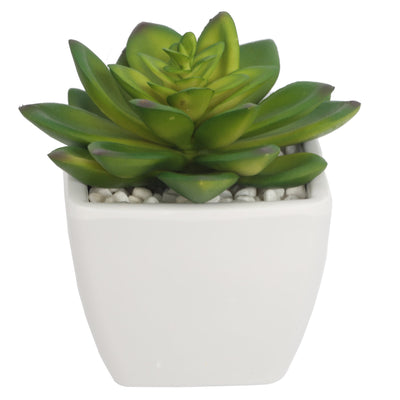 Mini Artificial Succulent Plants In Pots 12CM - Al Rugaib Furniture
