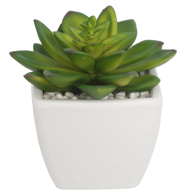 Mini Artificial Succulent Plants In Pots 12CM - Al Rugaib Furniture