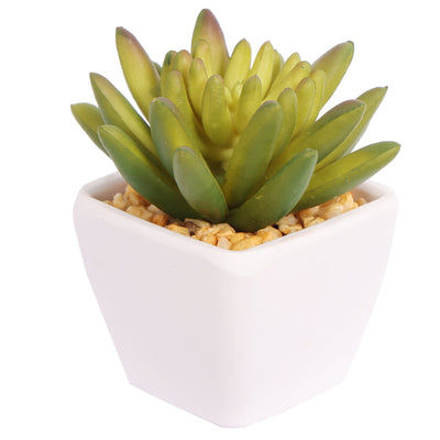 Mini Artificial Succulent Plants In Pots 8CM - Al Rugaib Furniture
