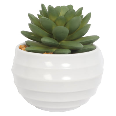 Mini Artificial Succulent Plants In Pots 9.5CM - Al Rugaib Furniture