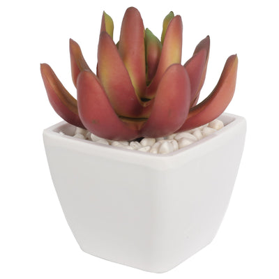 Mini Artificial Succulent Plants In Pots 9CM - Al Rugaib Furniture