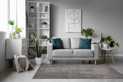 Modern brown Rug - Al Rugaib Furniture