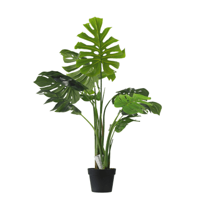Monstera - 110cm - Al Rugaib Furniture