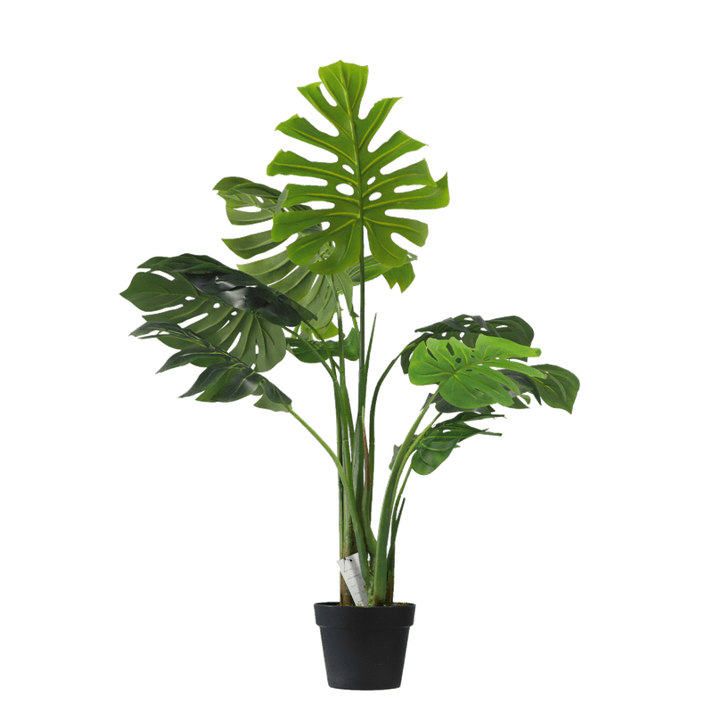 Monstera - 110cm - Al Rugaib Furniture