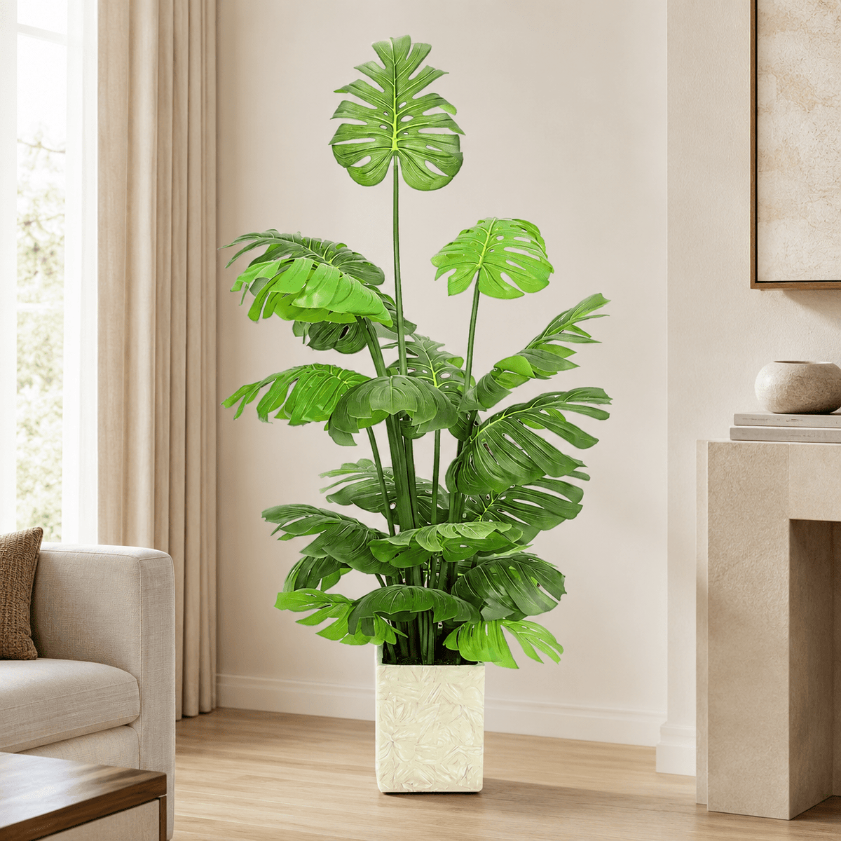 Monstera Plants| Roots Furniture