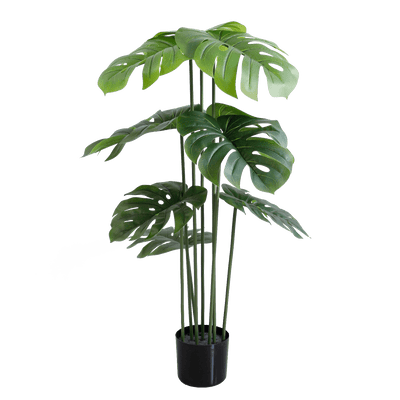 Monstera - Al Rugaib Furniture