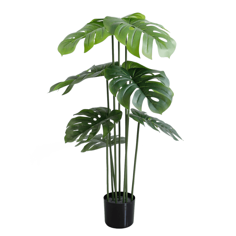 Monstera - Al Rugaib Furniture