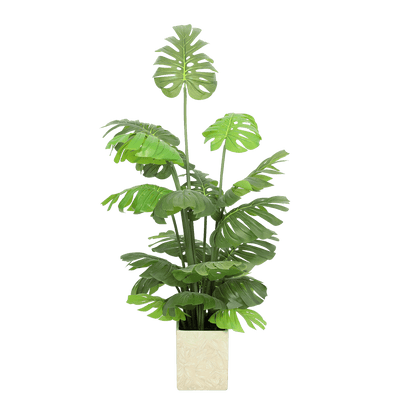 Monstera - Al Rugaib Furniture