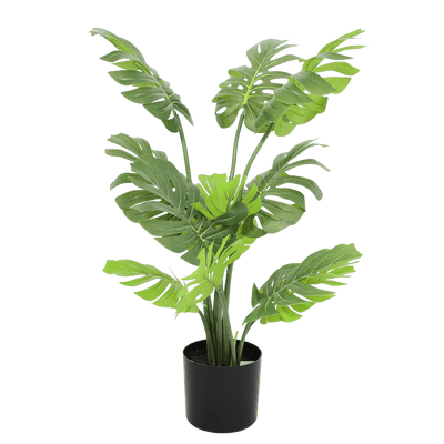 Monstera - Al Rugaib Furniture