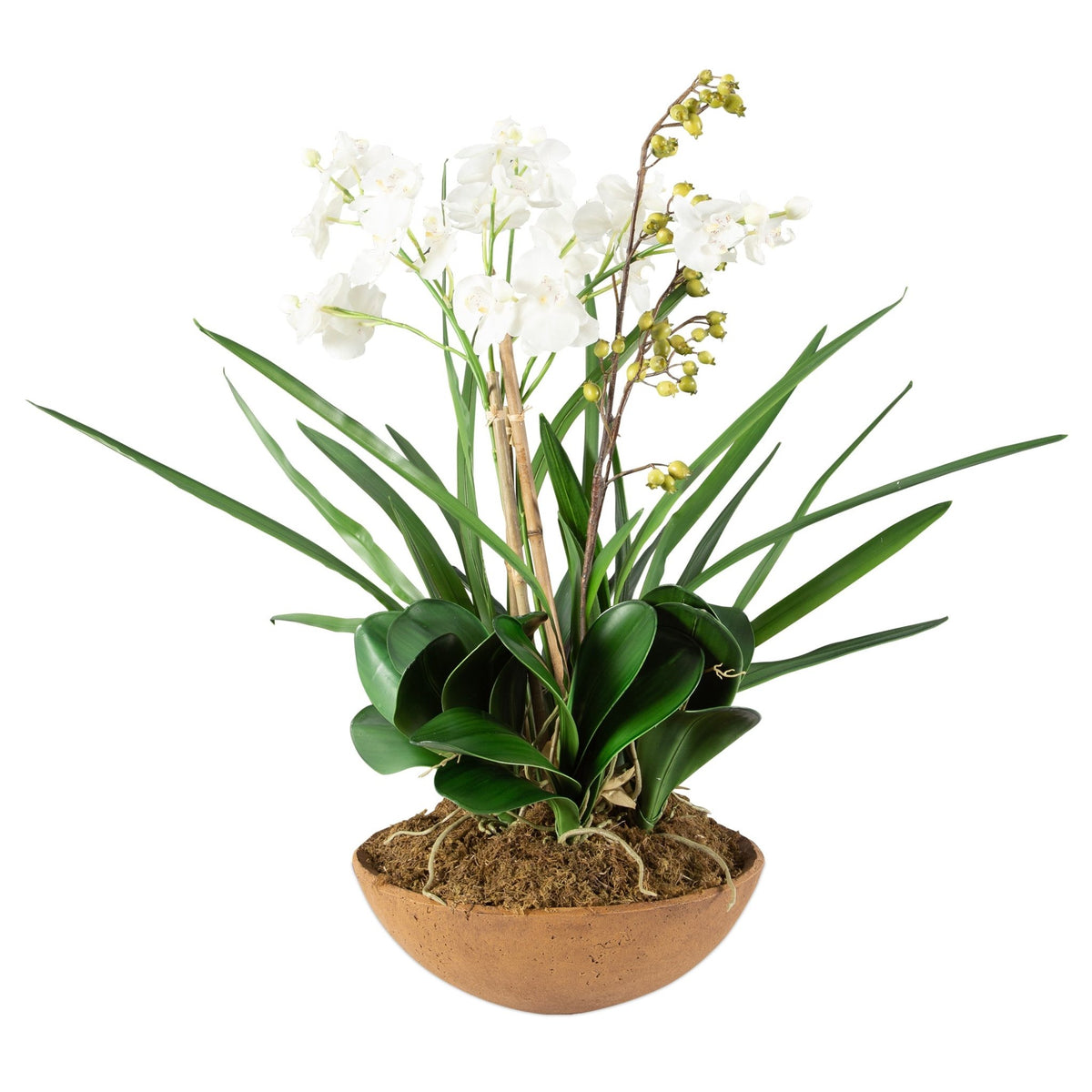 Moth Orchid Planter Vases and Jars| Uttermost