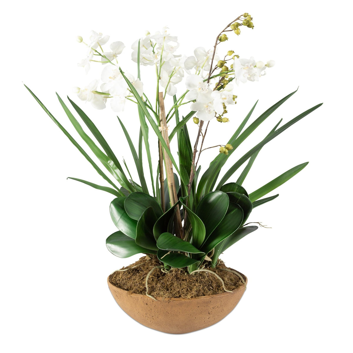 Moth Orchid Planter Vases and Jars| Uttermost
