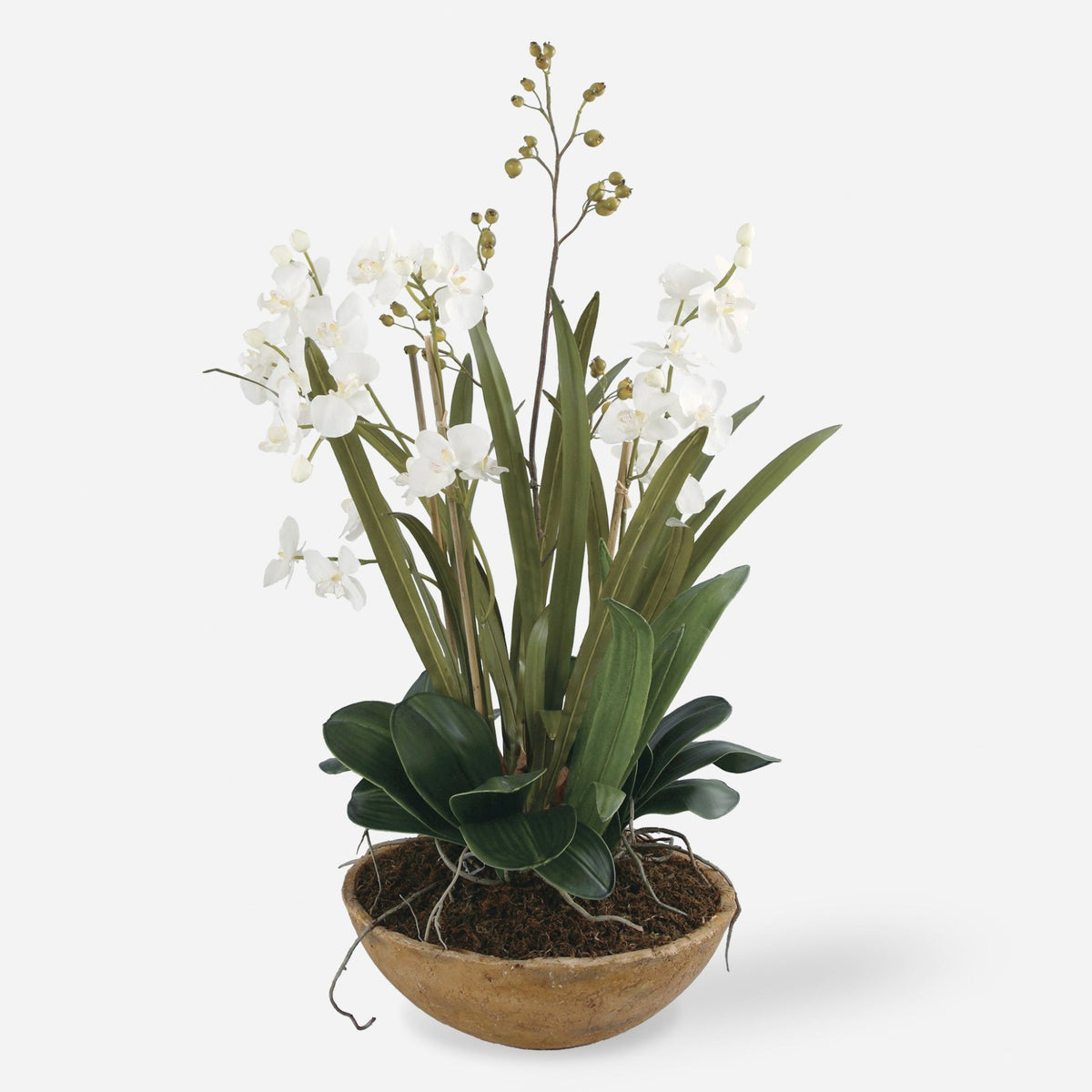 Moth Orchid Planter Vases and Jars| Uttermost