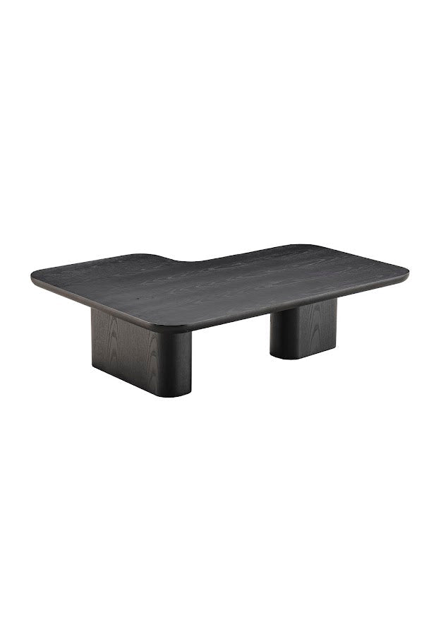 Moyn Coffee Table Coffee Tables| Roots Furniture