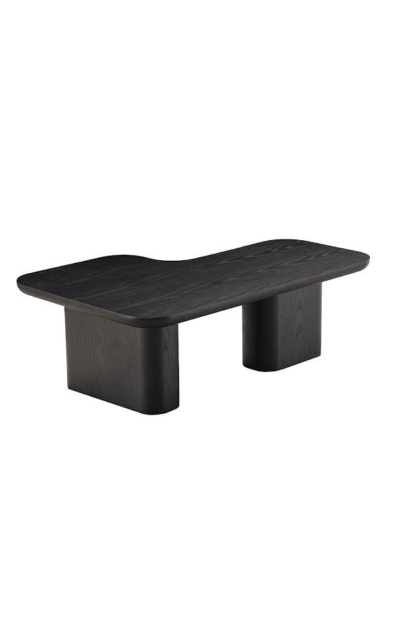 Moyn Small Coffee Table Coffee Tables| Roots Furniture
