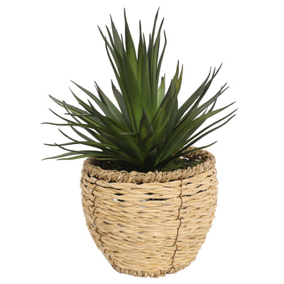 Multi - petal of Potted Artificial Succulents Plants 22CM Height - Al Rugaib Furniture