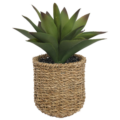 Multi - petal of Potted Artificial Succulents Plants 27CM Height - Al Rugaib Furniture
