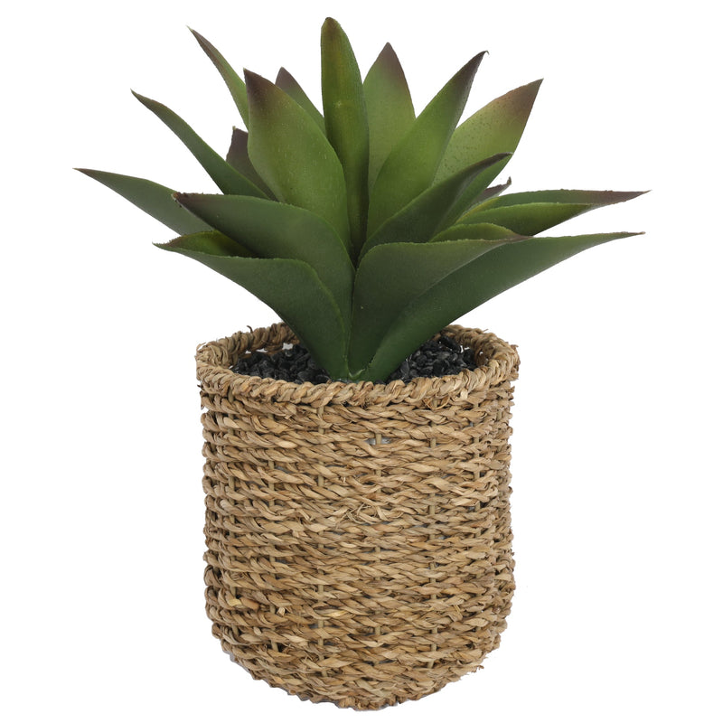 Multi - petal of Potted Artificial Succulents Plants 27CM Height - Al Rugaib Furniture