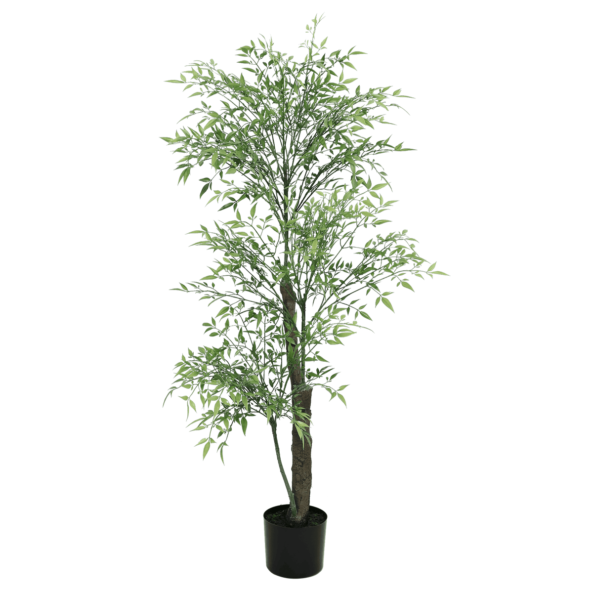 Nandina Plants| Roots Furniture