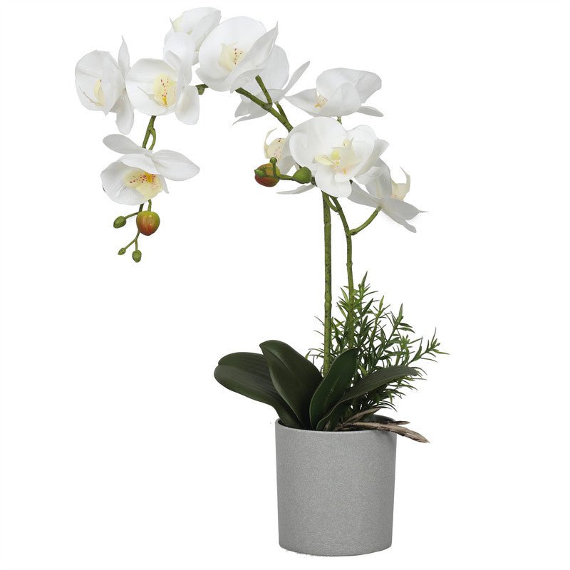 Nice Potted Artificial Orchids Bonsai 50CM Plants| Roots Furniture