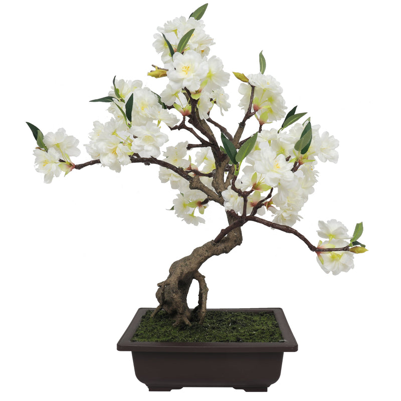 Nice Potted Cherry Blossom 55CM White Indoor - Al Rugaib Furniture
