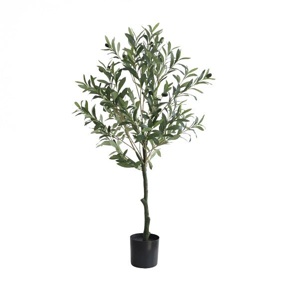 OLIVE TREE - 100cm - Al Rugaib Furniture