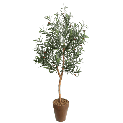 OLIVE TREE - Al Rugaib Furniture