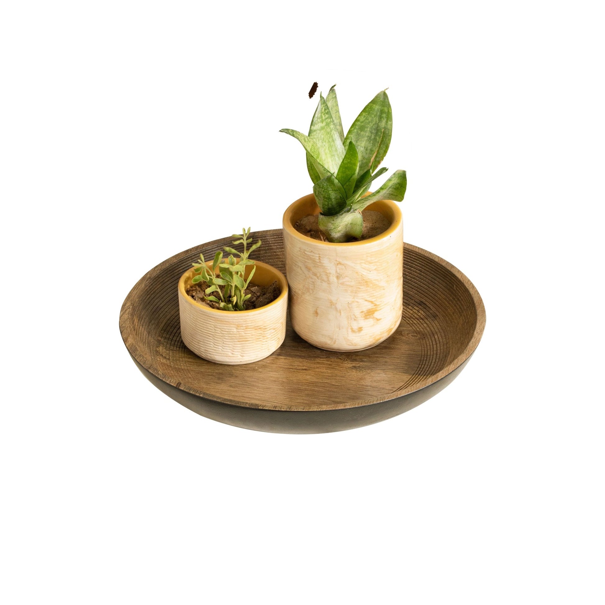 Orbis Round Shallow Bowl Large Tray| Roots Furniture
