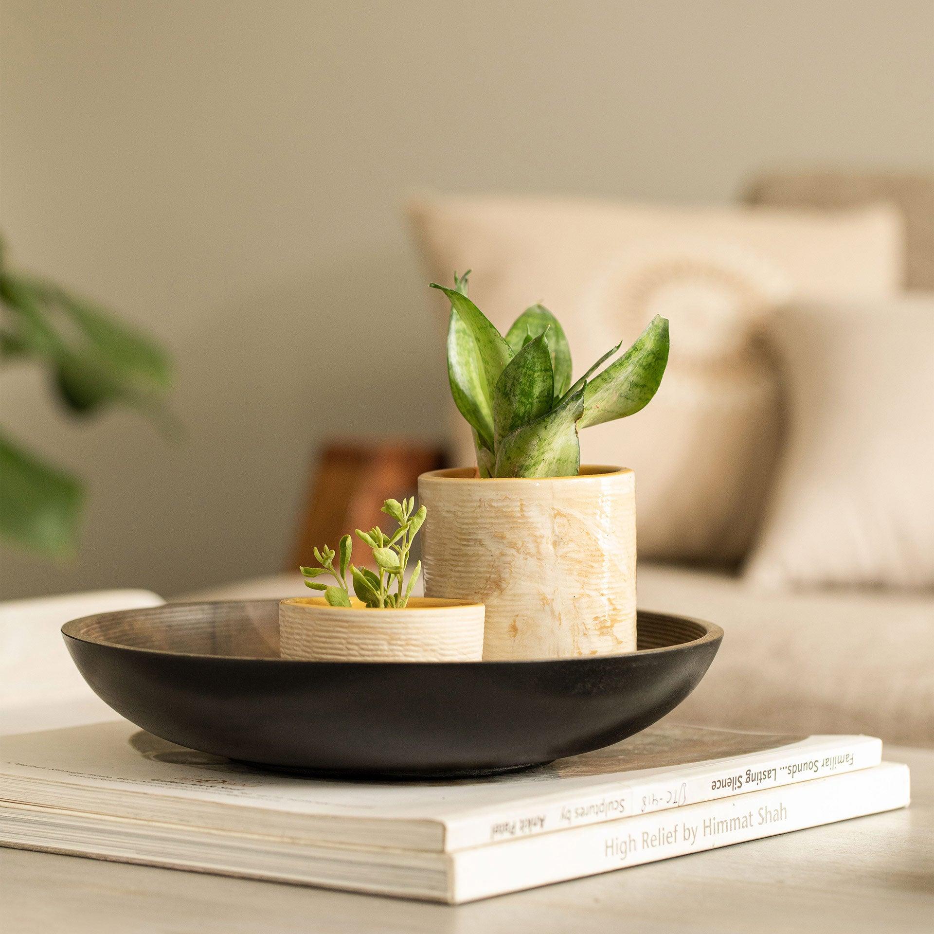 Orbis Round Shallow Bowl Large Tray| Roots Furniture
