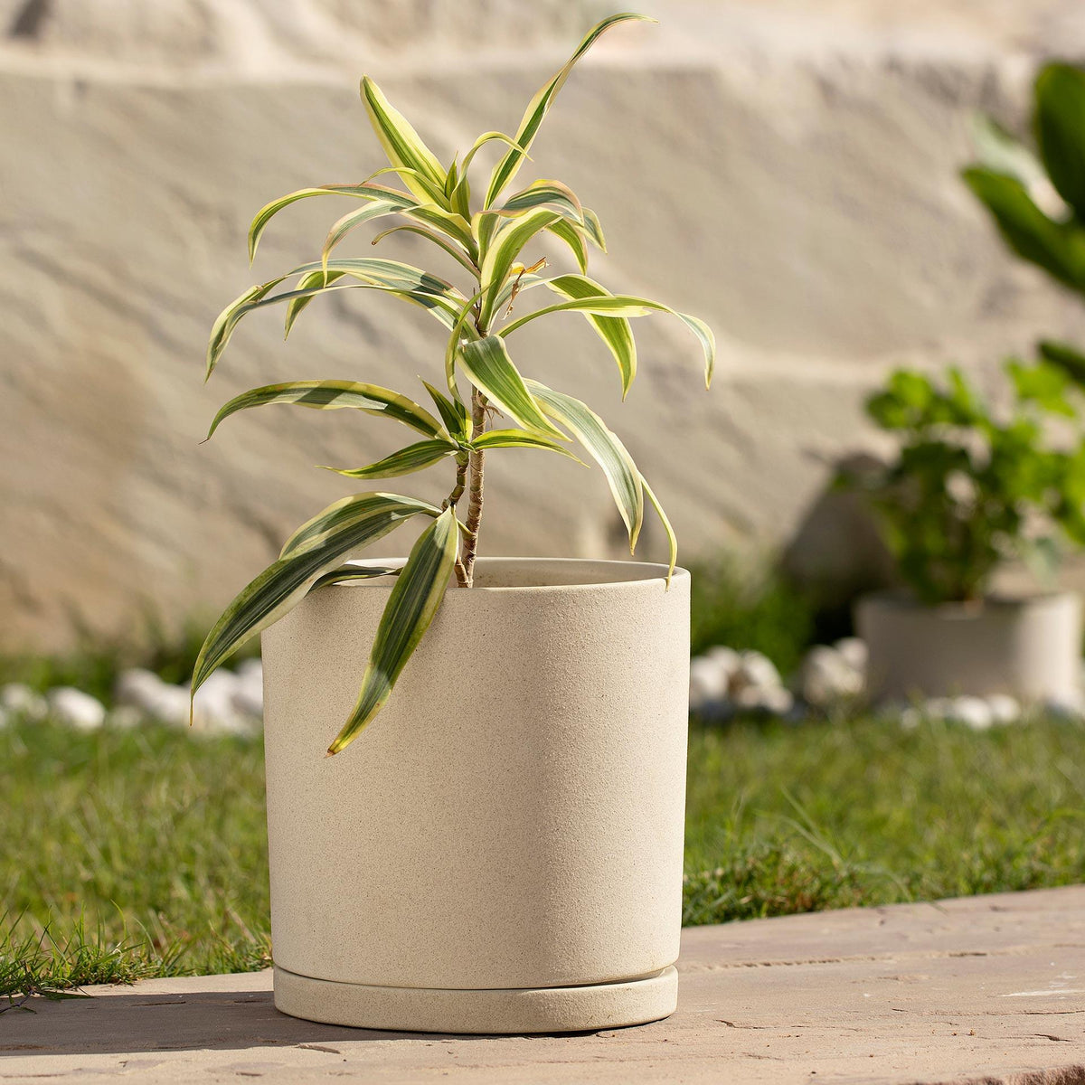 Ort Ceramic Planter (Tall) Planter| Roots Furniture