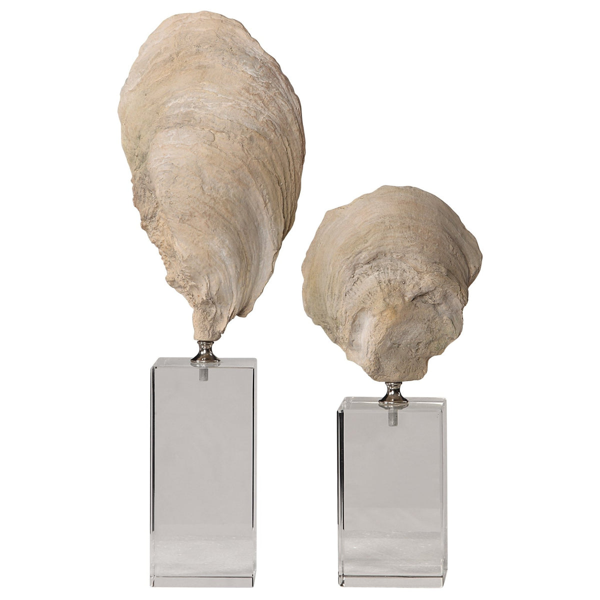 Oyster Shell Sculptures, S/2 Table Decors| Uttermost